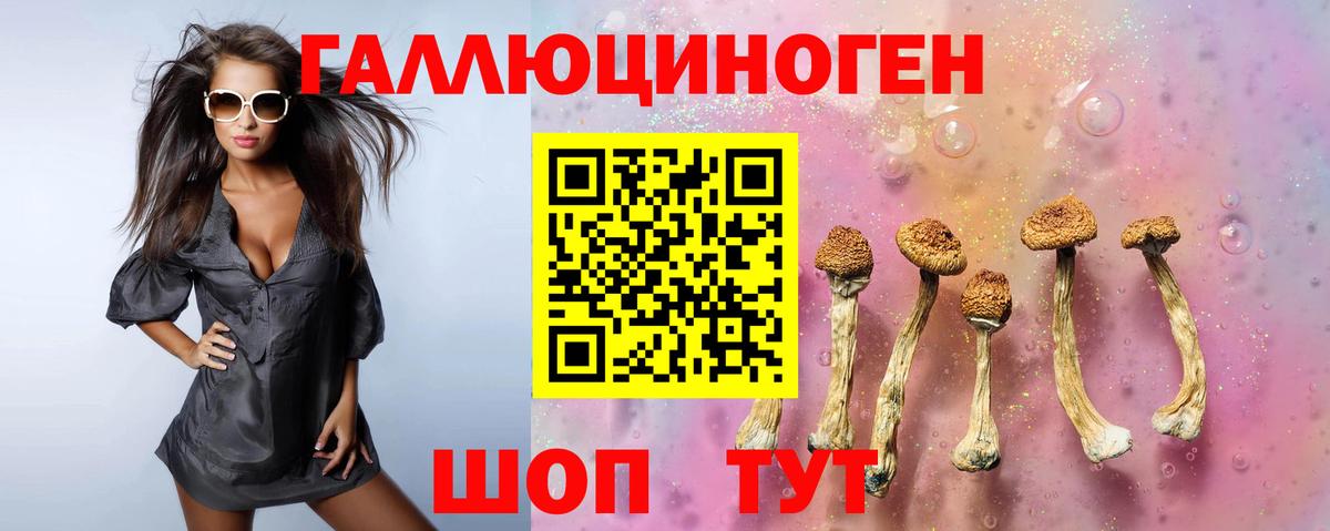 Галлюциногенные грибы Psilocybine cubensis  Вход с VPN  Алексеевка 